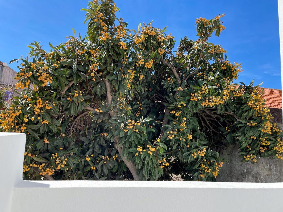 Our Charming House Apartment Portimao Ngoại thất bức ảnh